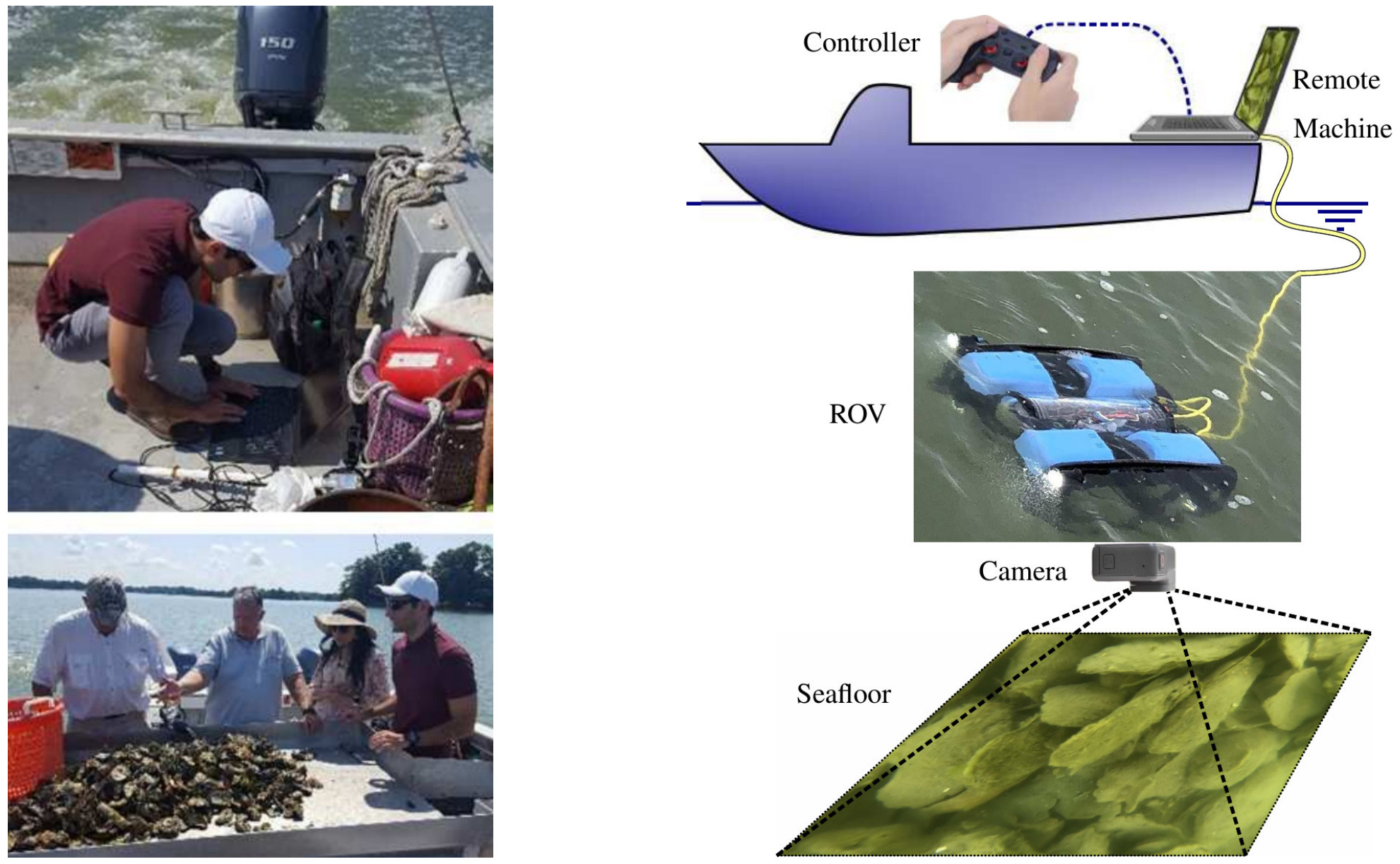 Detecting and Counting Oysters