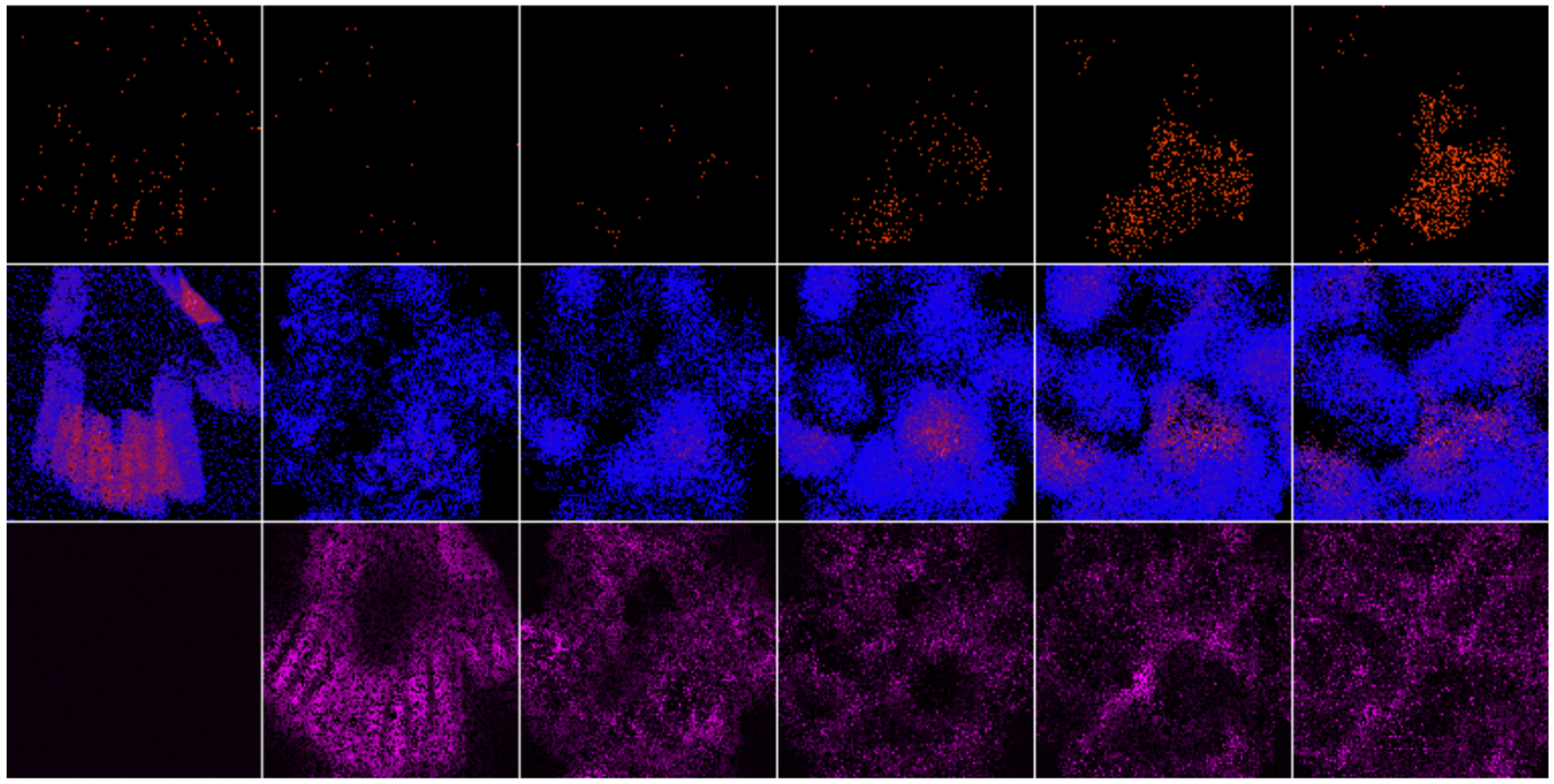 Temporal Coding STDP